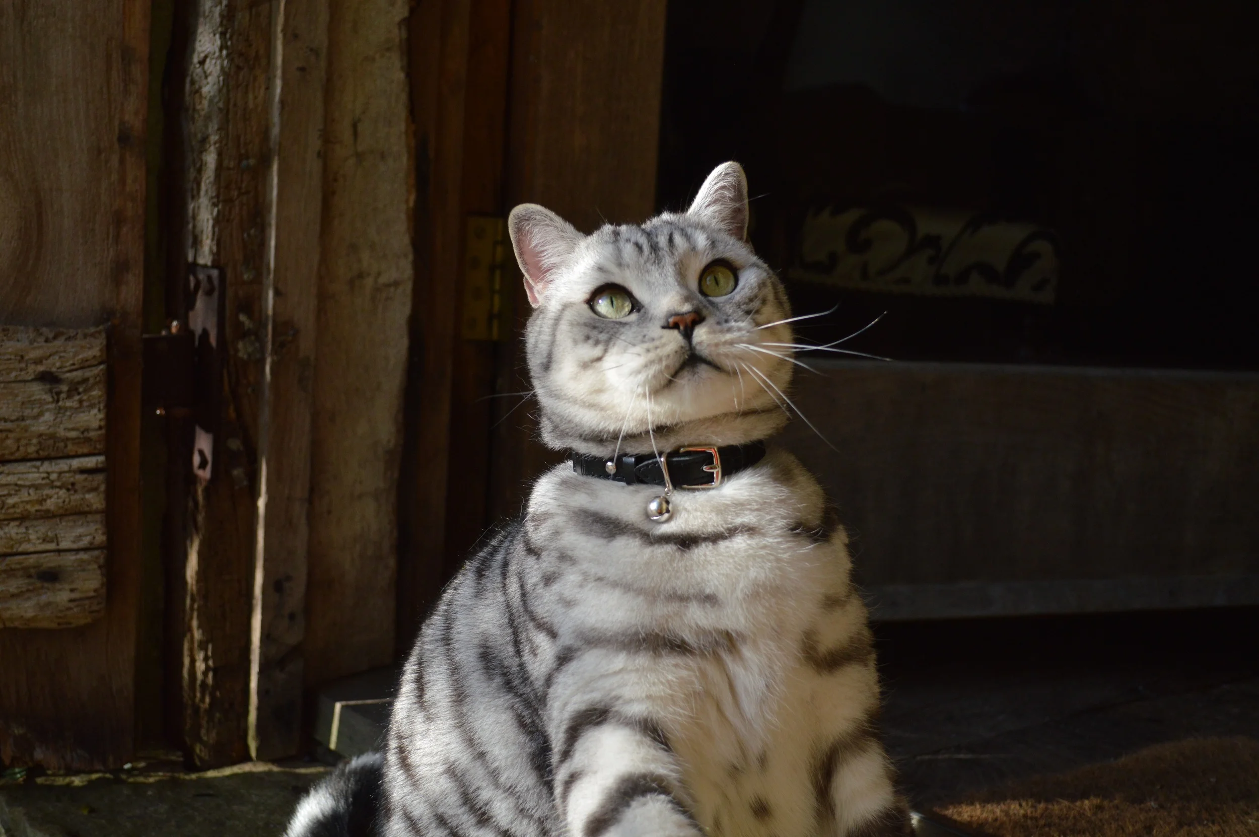 DSC_2262.jpg