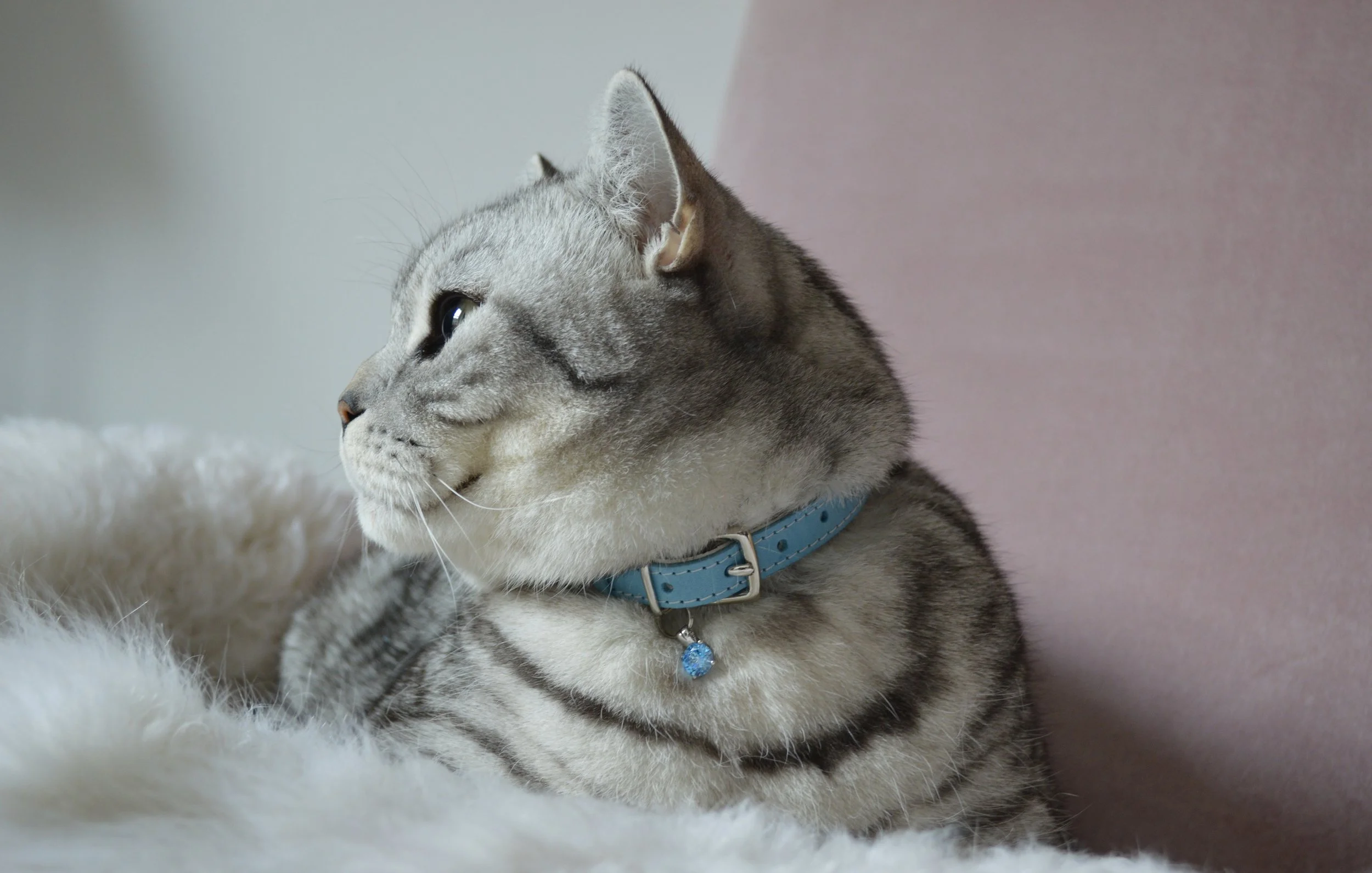 DSC_3181.jpg