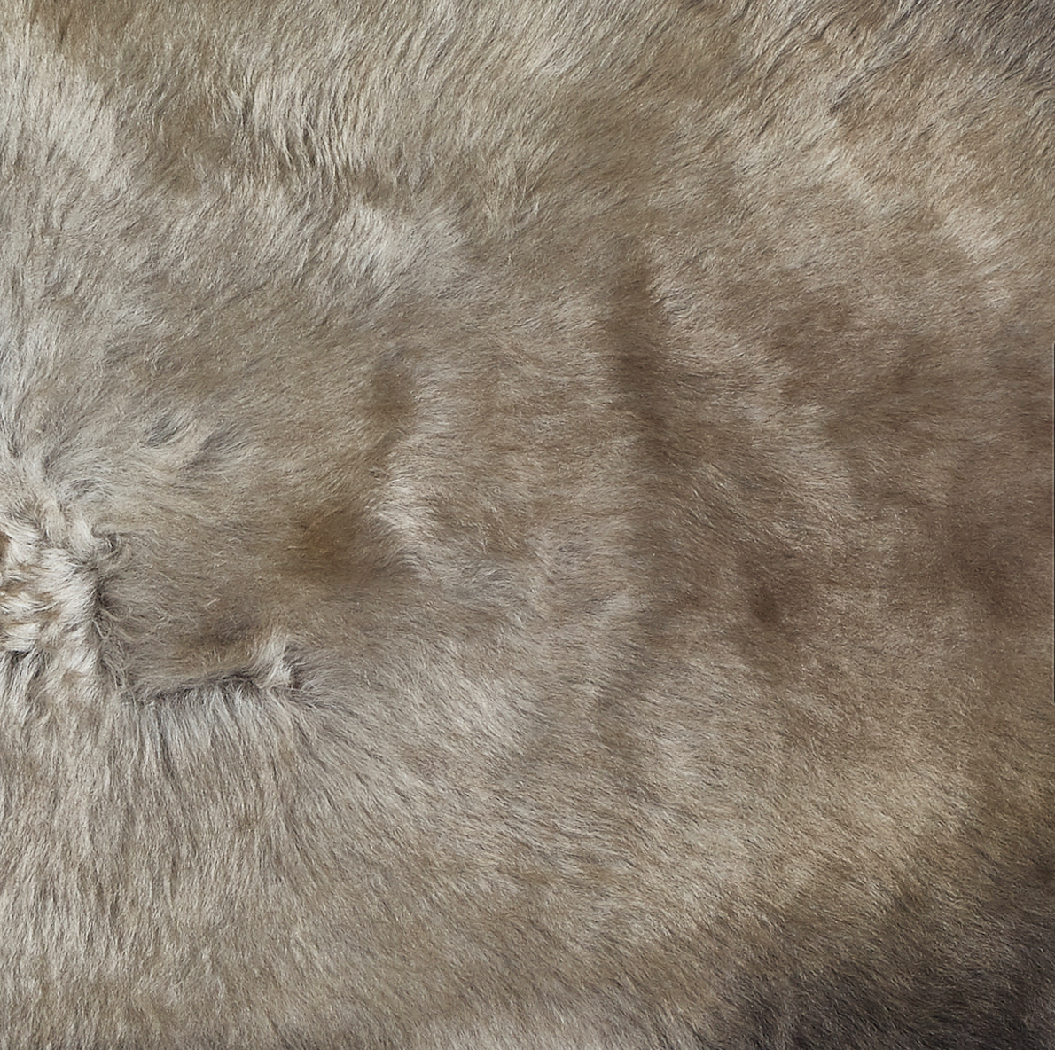 Sheepskin rug for cats grey.png