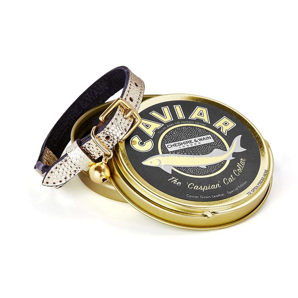 Caviar Collection Caspian cat collar.jpg