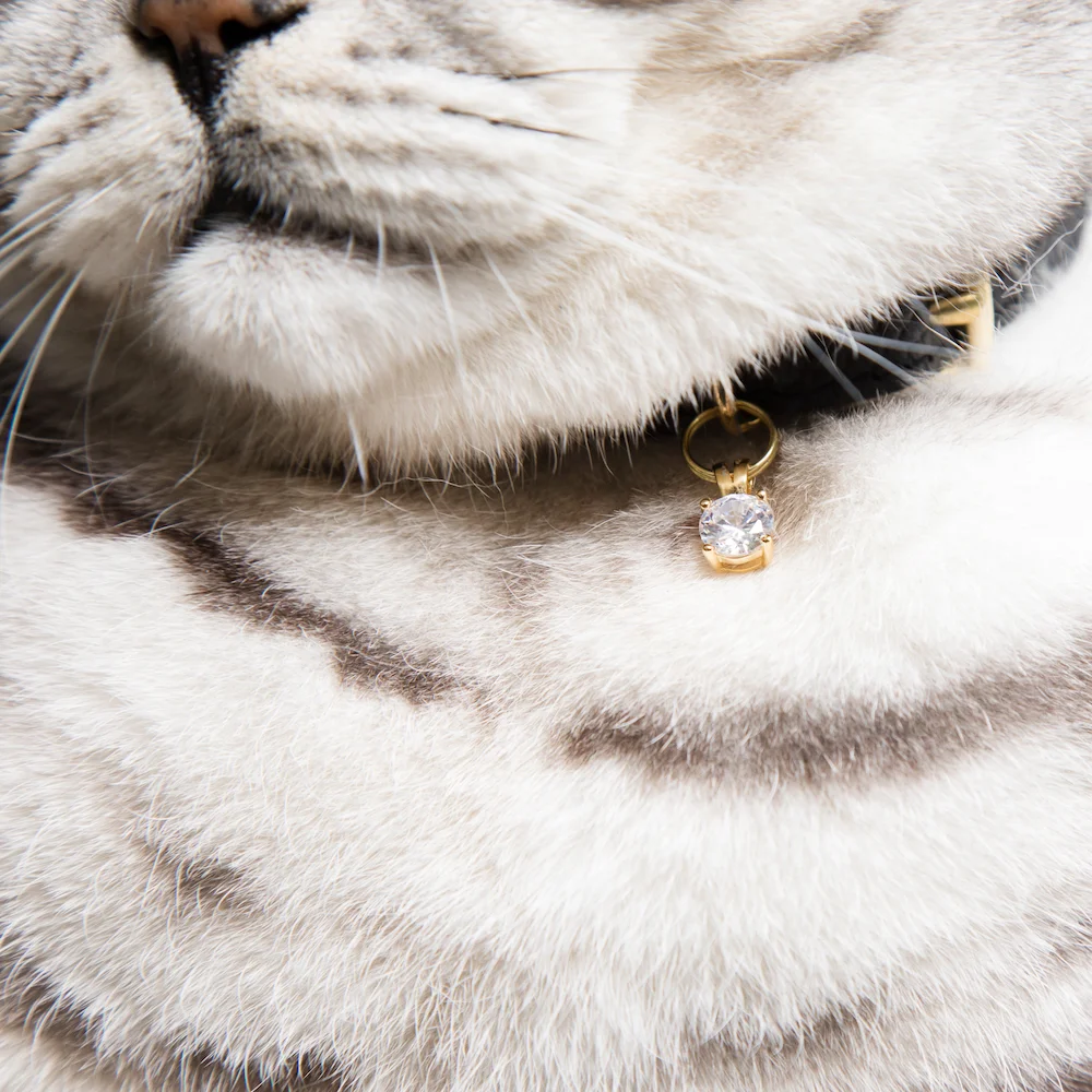 Crystal Cat Collar Gem Charm 01 copy.jpg