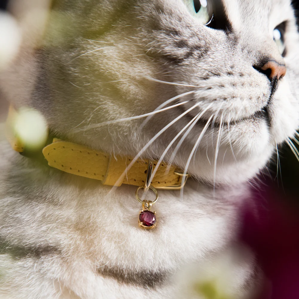 Garnet Gem Cat Collar Charm 01 copy.jpg