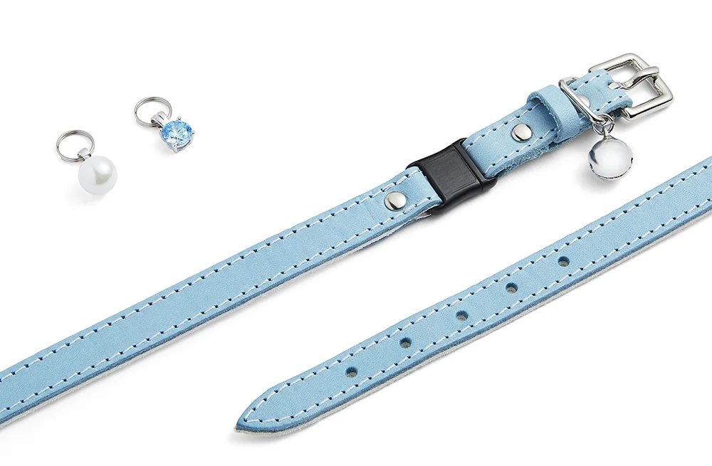 Cheshire and Wain Baby Blue Cat Collar.jpg