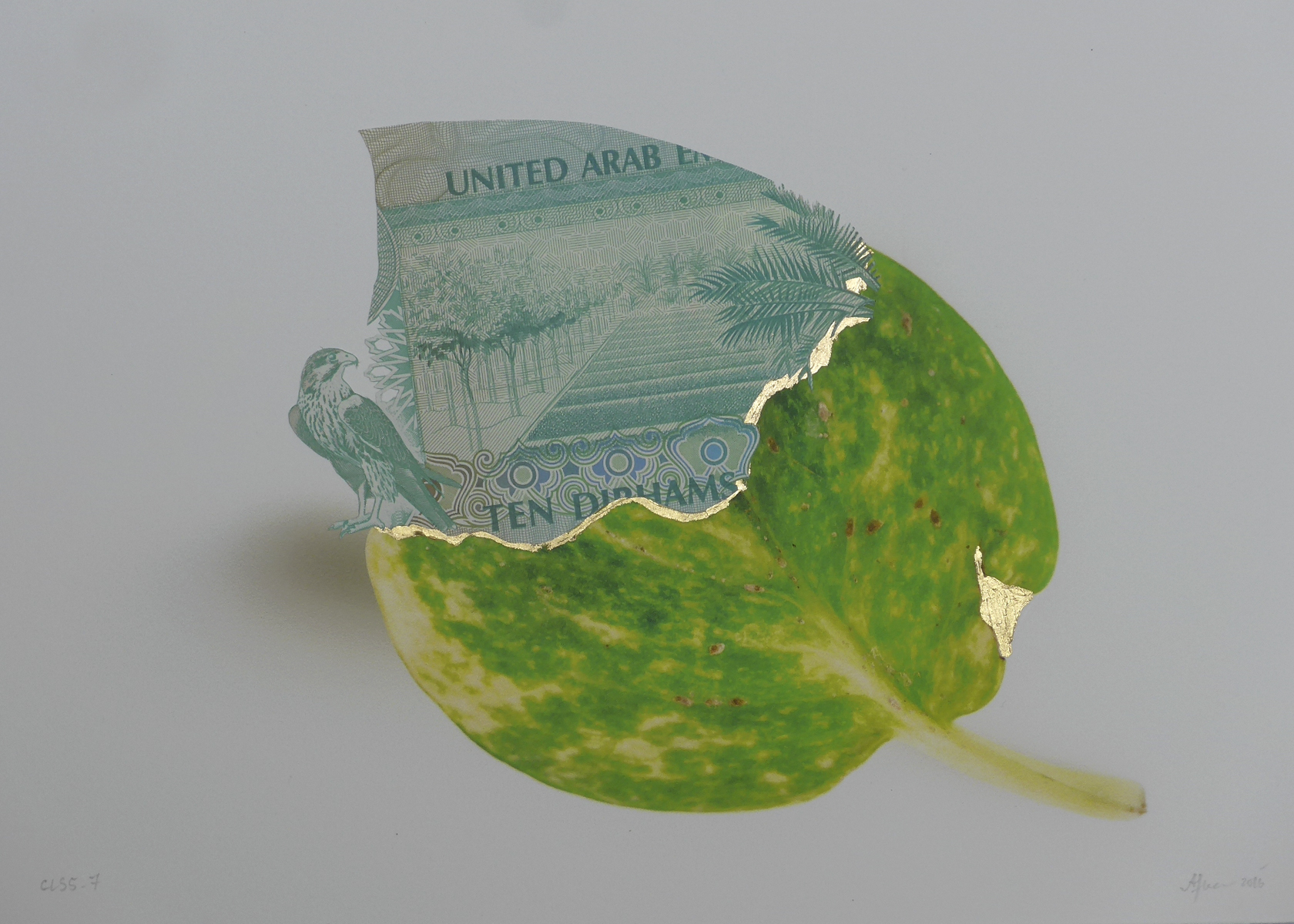 Currency of Love s eries, Detail view, Featured banknote: UAE Dirham