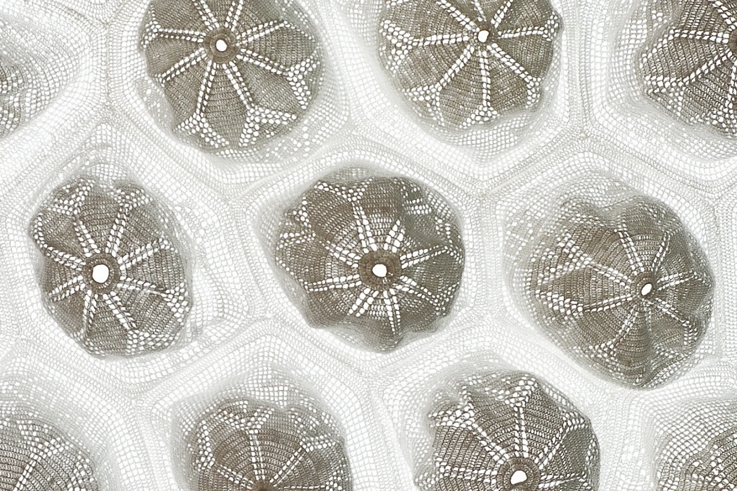 Aura II, 2013 - Detail II