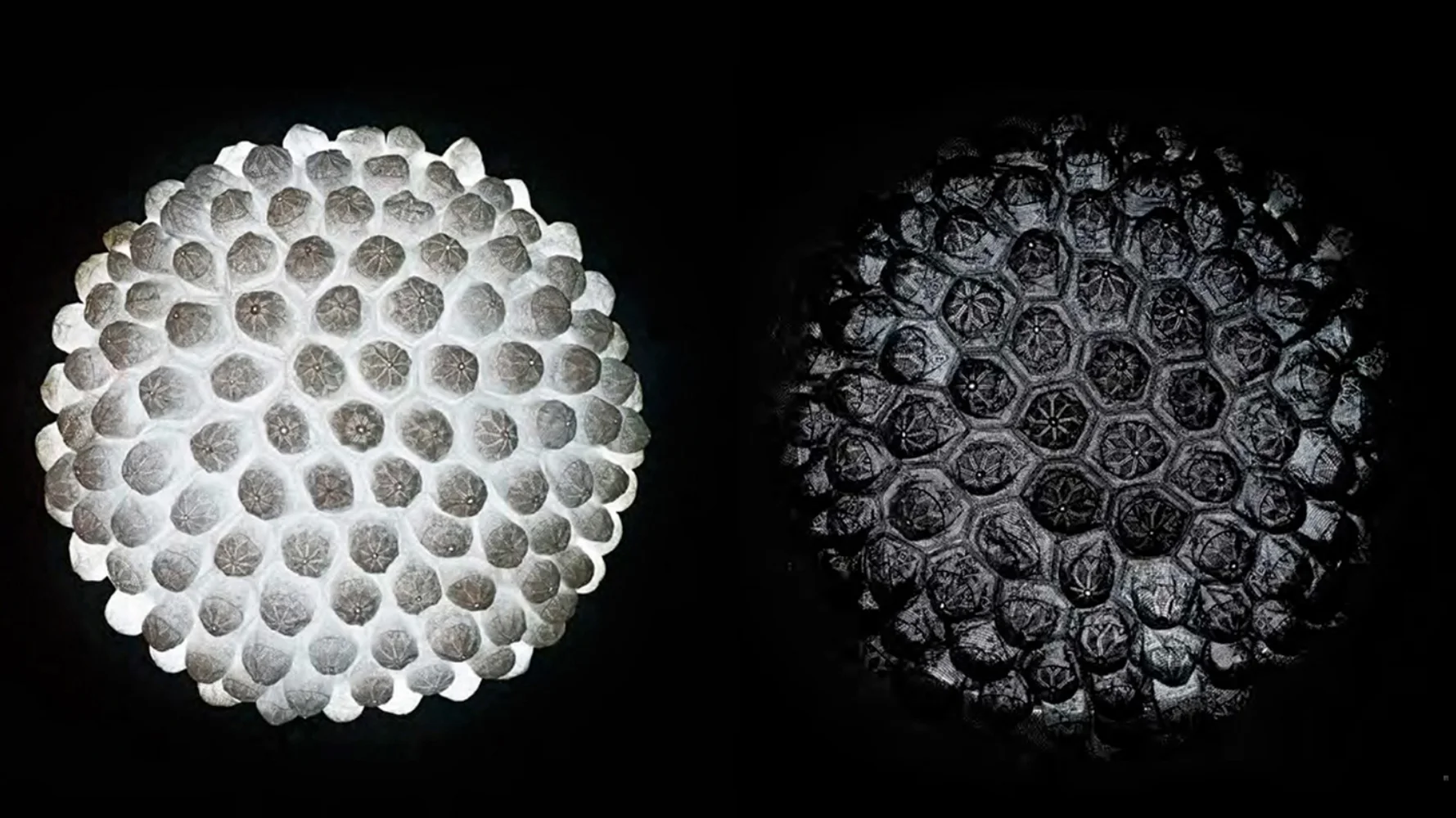 Aura I & II, 2013, Hand-stitched white & black taqiyah (skullcaps), Perspex dome and LED light, 108 (Dia.) x 60 cm, also 71 (dia.) x 48 cm each.