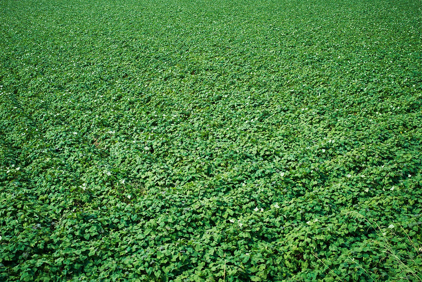 kh013.jpg