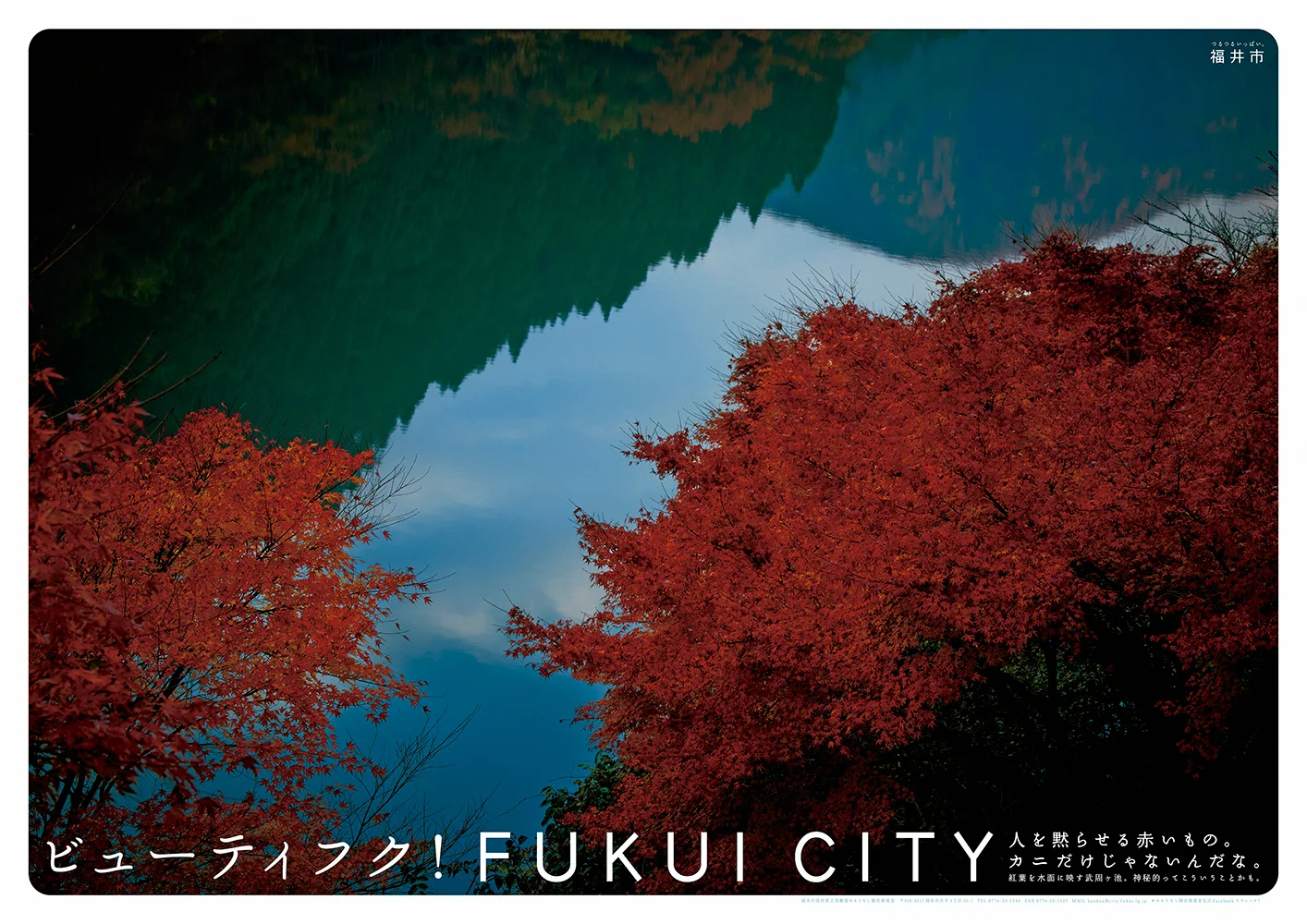 fukui_04.jpg