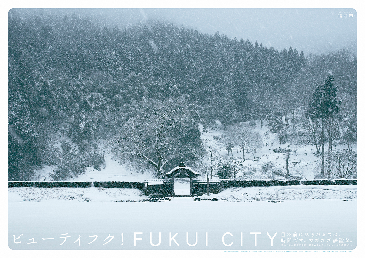fukui_05.jpg