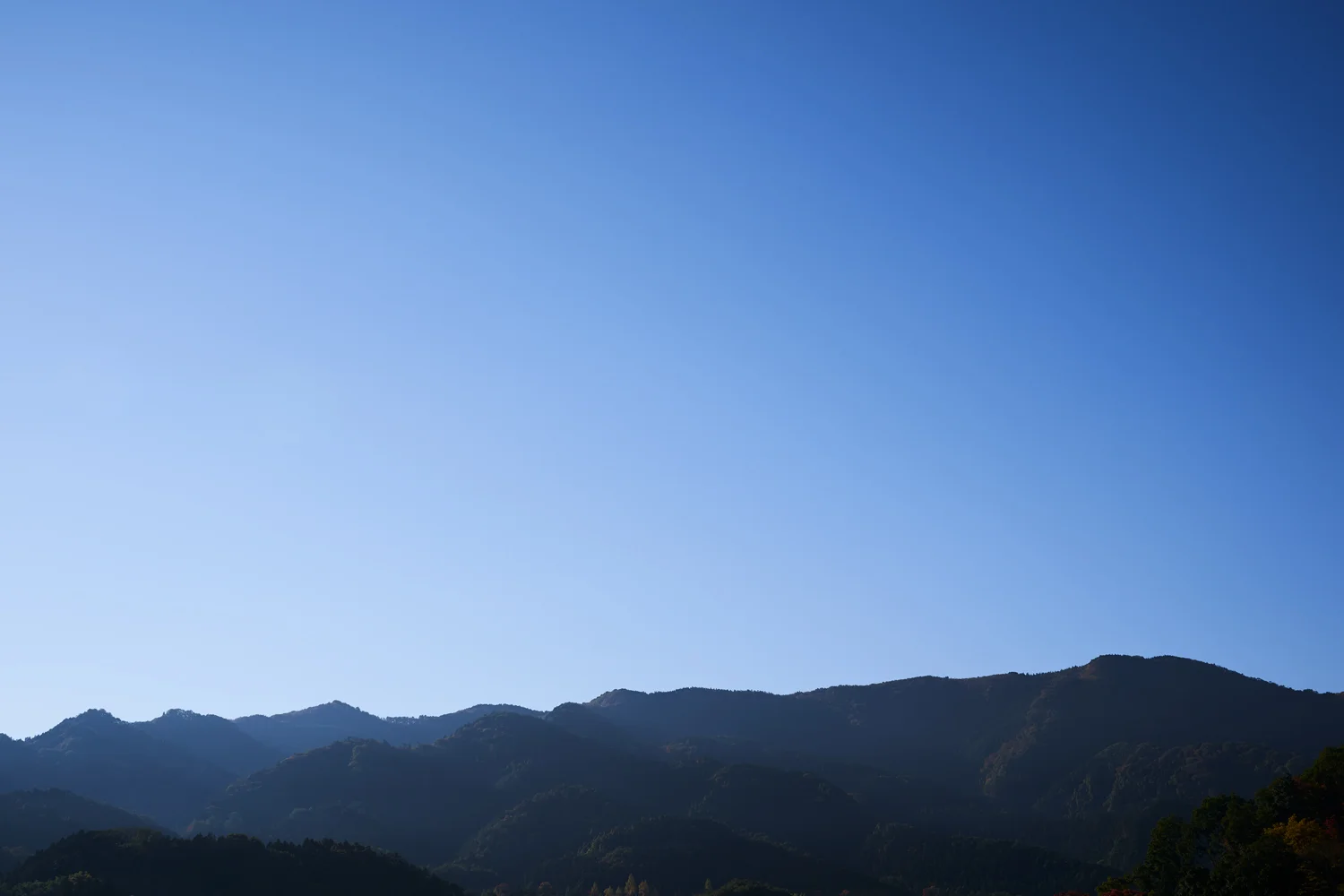 wayo0302.jpg