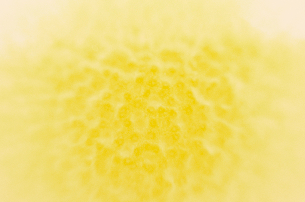 v002.jpg