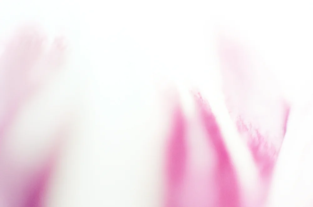 v003.jpg