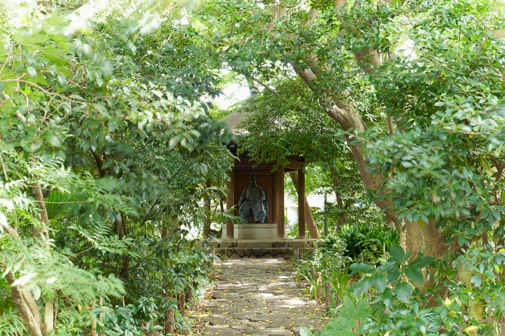 wayo0502.jpg