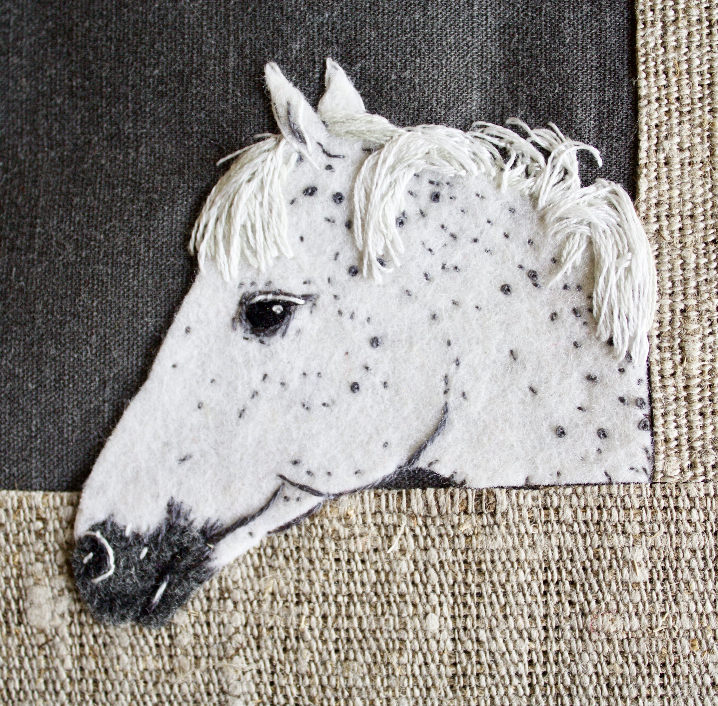 horse portrait
