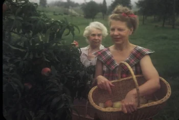 The author's grandmother and great-grandmother, picking peaches in 1943