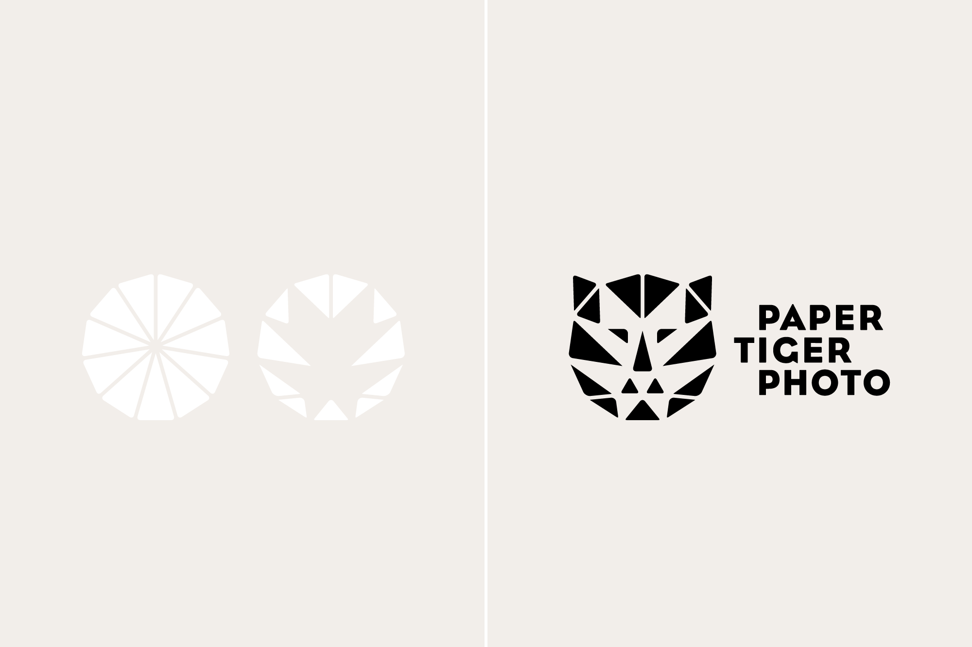 Paper Tiger Photo Logo