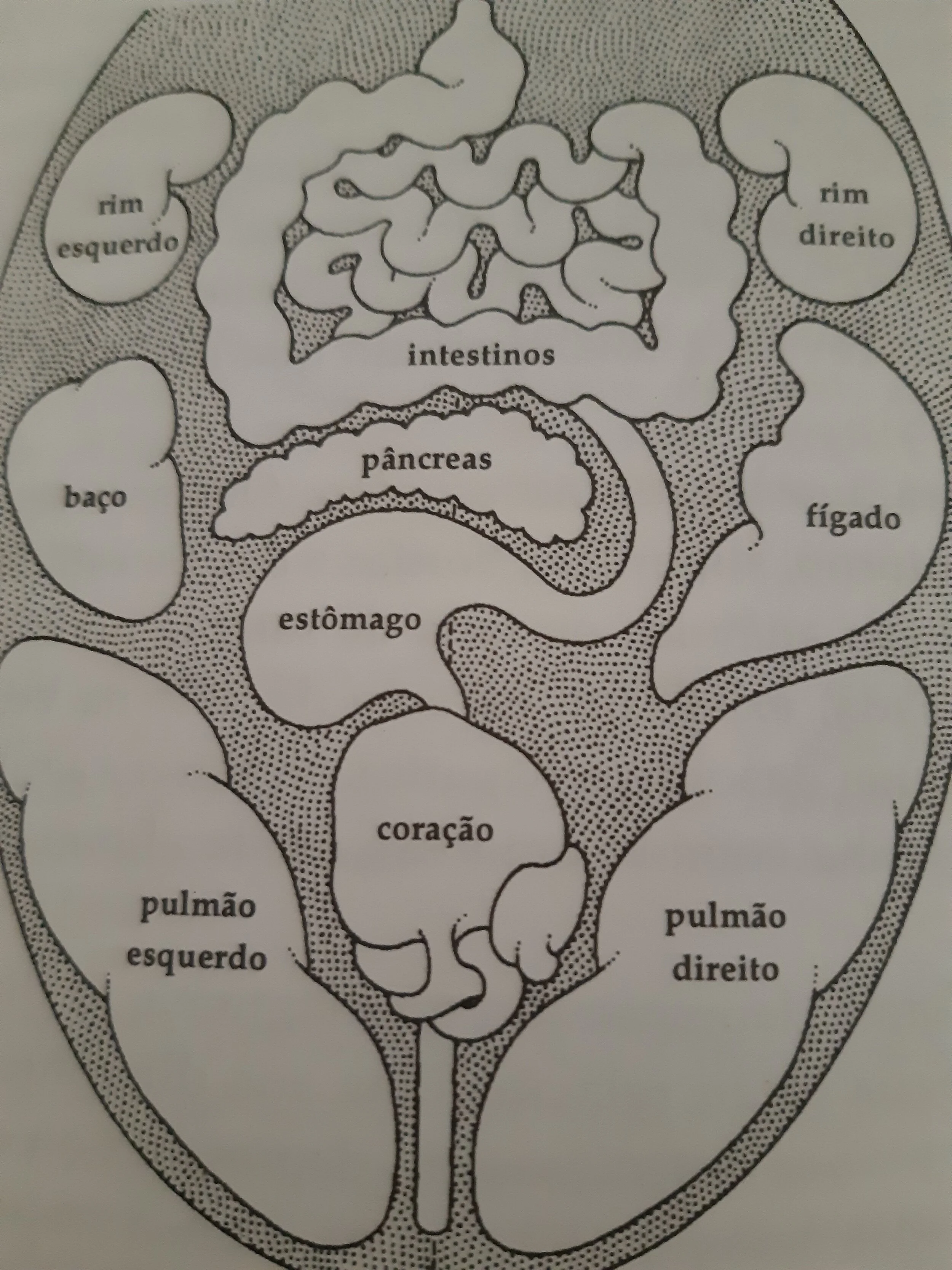 O que nos diz a língua?