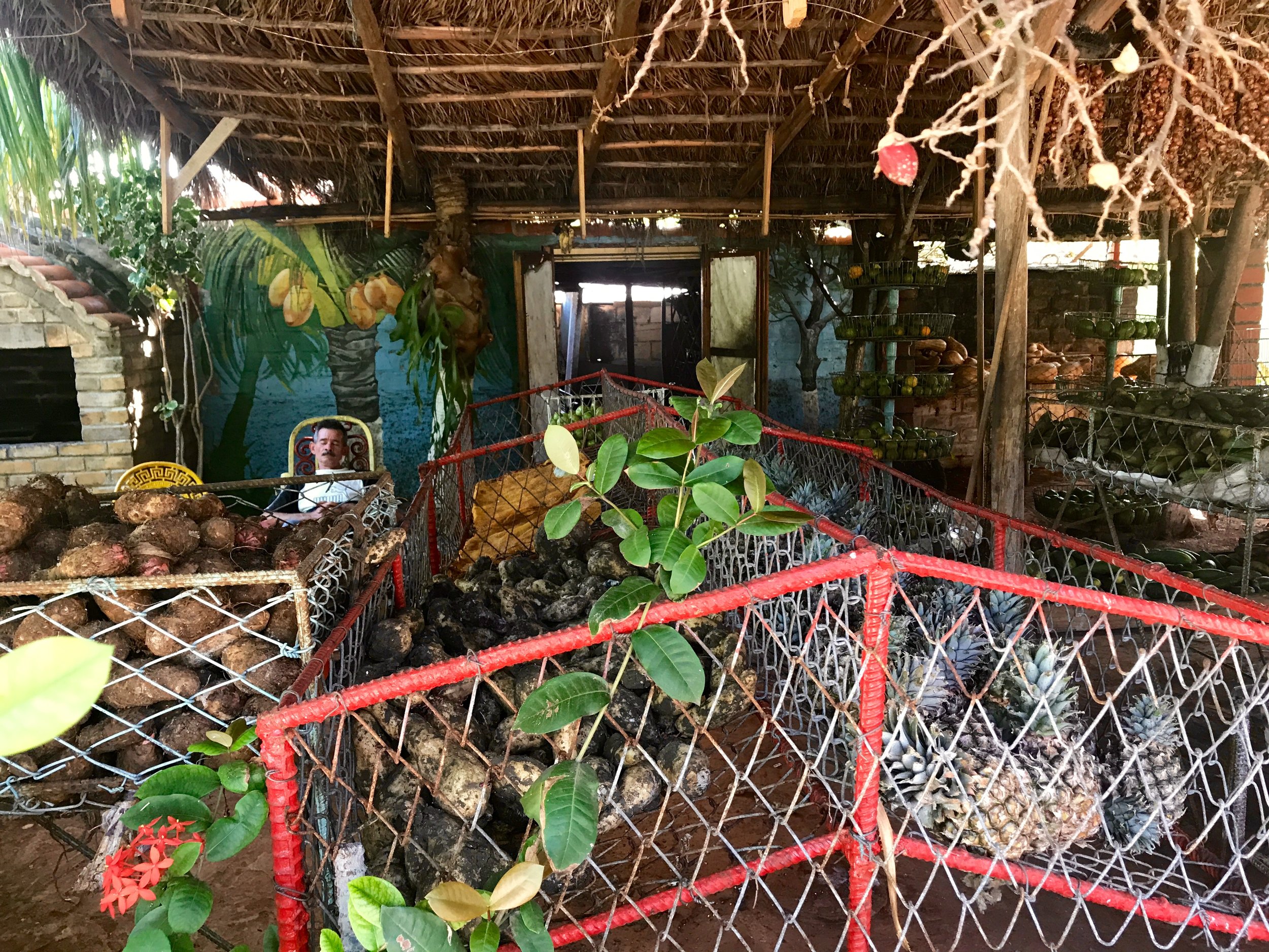 ministry of agriculture in guanabo. 