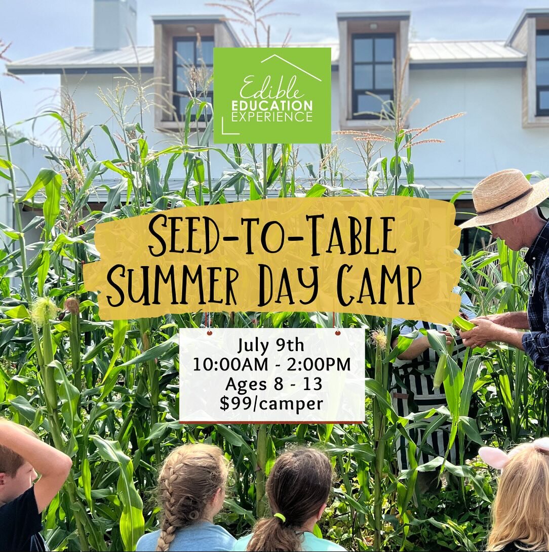 Our upcoming summer day camps are almost sold out! We invite your students to this one-of-a-kind experience at our Kitchen House &amp; Culinary Garden. 

From exploring different tastes to a two day intensive baking camp we look forward to working wi