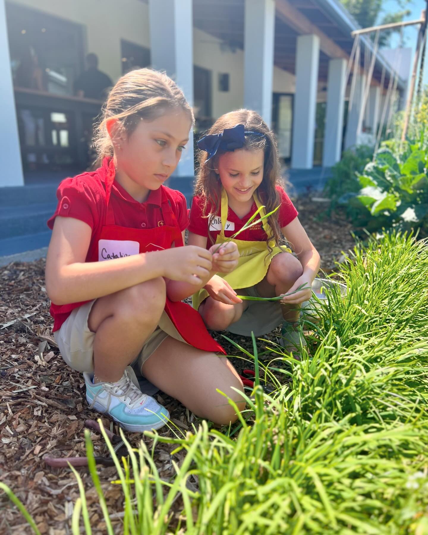 Orangewood Christian School has been a long time participant in our seed-to-table program. 

This week, the students took the flavor of a carrot to new heights, making a caramelized carrot tarte tatin 🥕and other complementary spring dishes inspired 