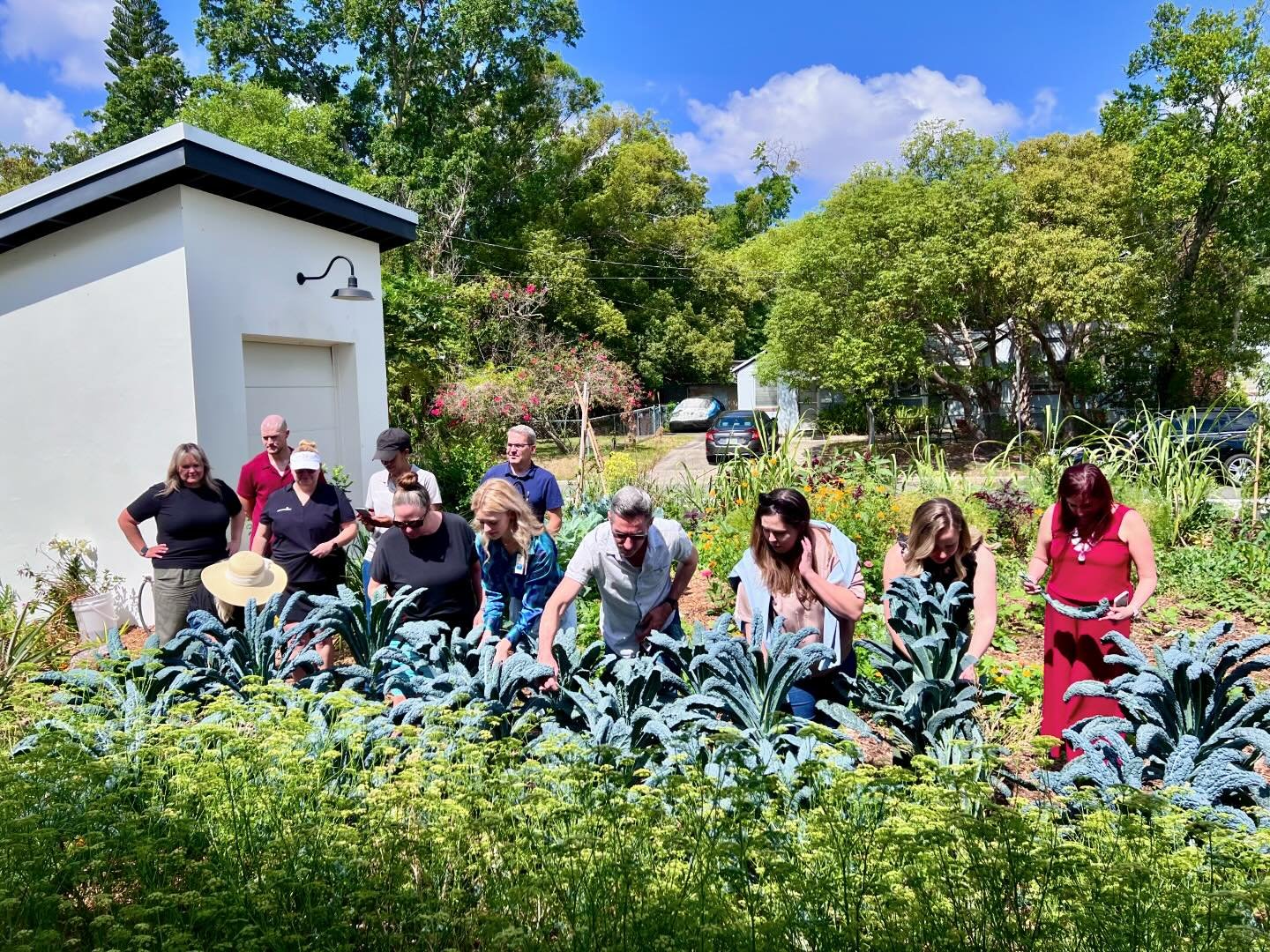 From garden to kitchen, join us for a corporate team building experience that&hellip; 
1️⃣ combines wellness with bonding
2️⃣ takes place in an inspirational environment
3️⃣ changes the way your team thinks about food and community 

Our Corporate Te