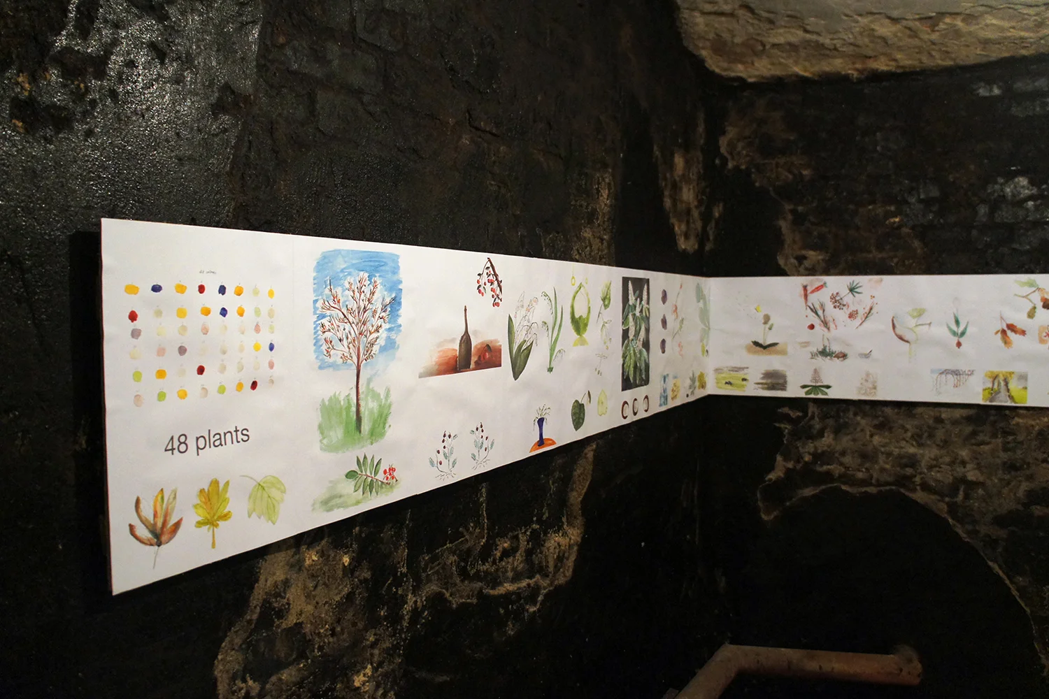48Plants_6.jpg