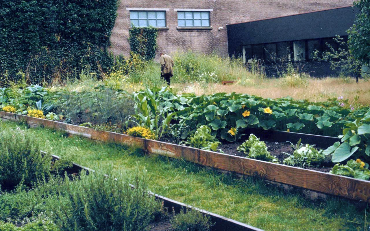 GardenRL_6.jpg