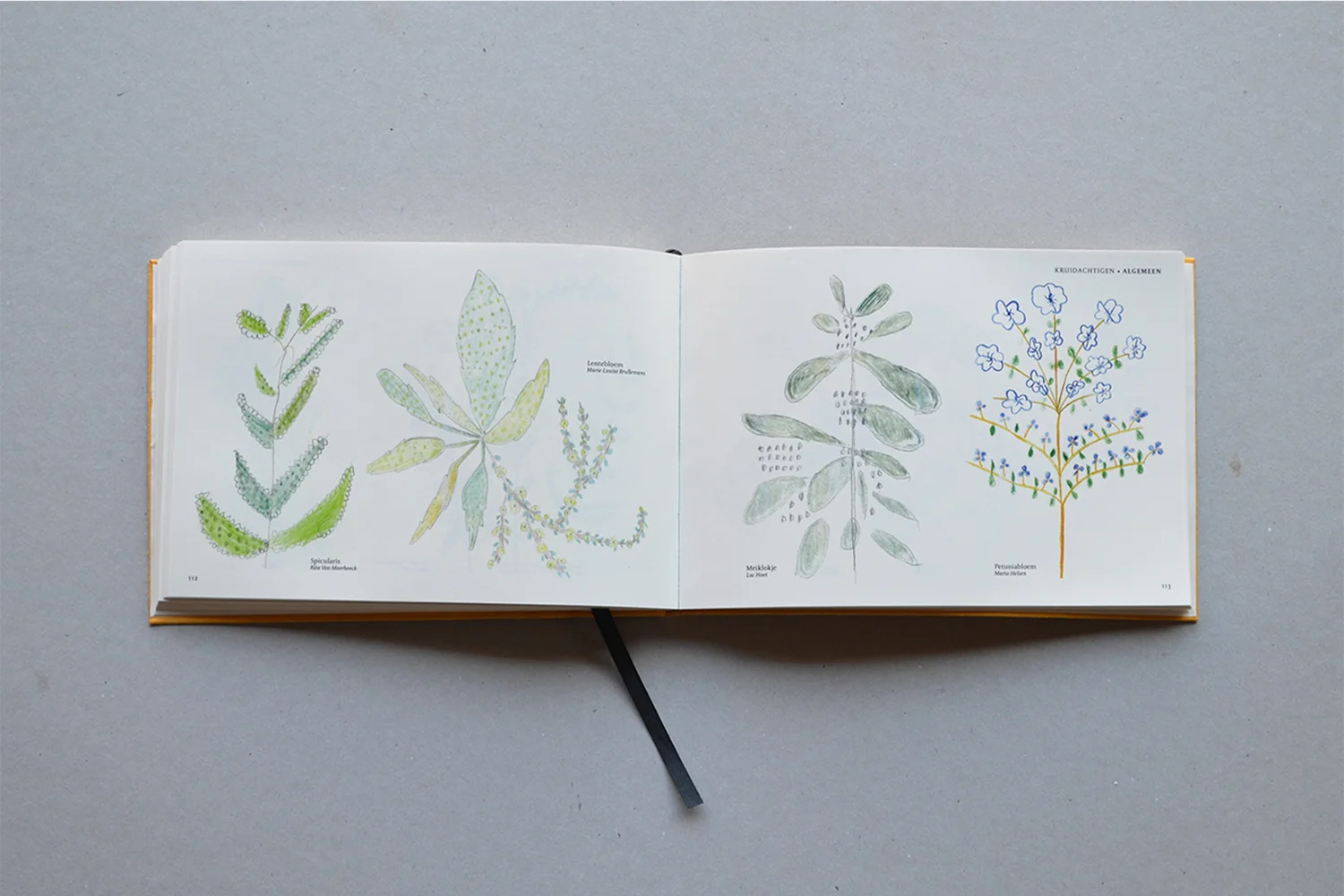 FloraBook_7.jpg