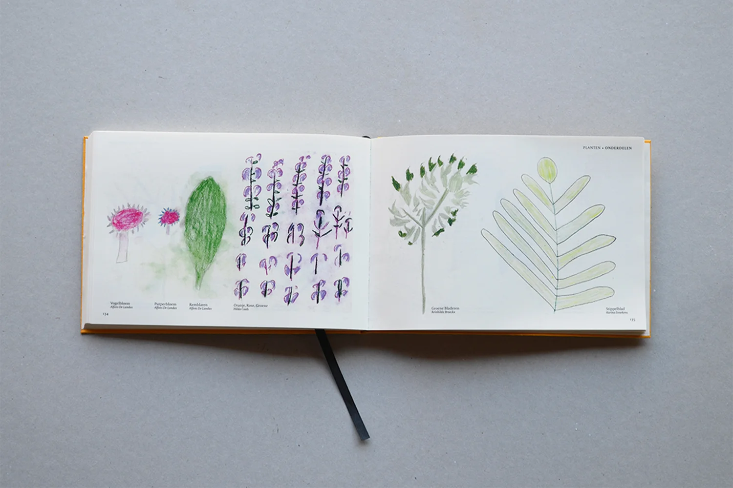 FloraBook_4.jpg