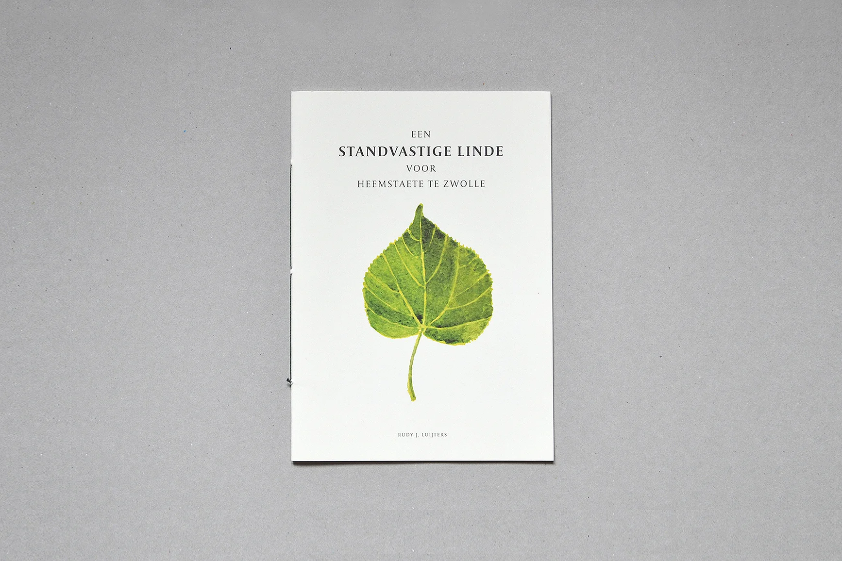 LindenTree_5 copy.jpg