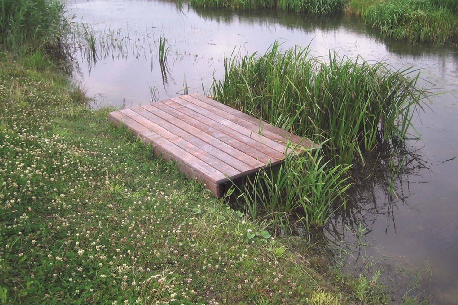 Polder_12.jpg
