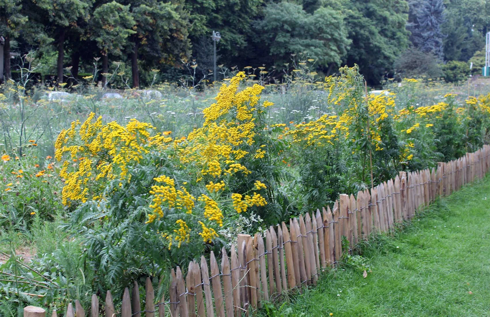 JardinEssentiel_RudyLuijters06.jpg
