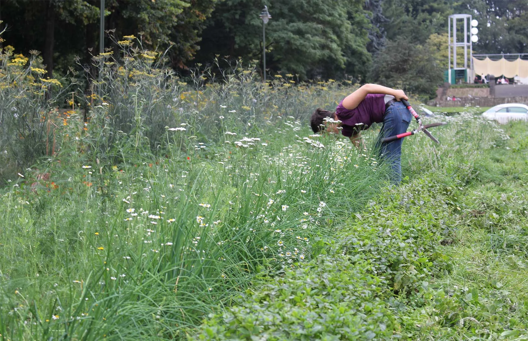 JardinEssentiel_RudyLuijters04.jpg