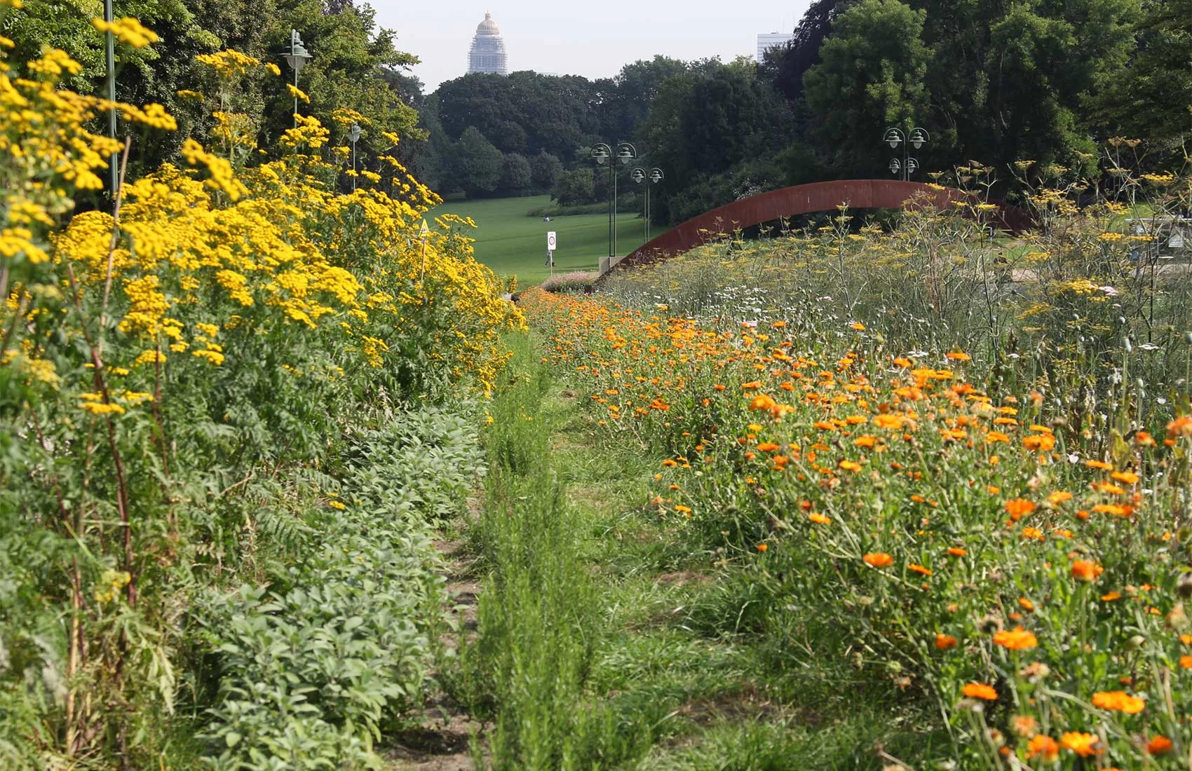 JardinEssentiel_RudyLuijters07.jpg