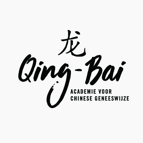 logodesign©MarloesdeLaat_qing-bai.jpg