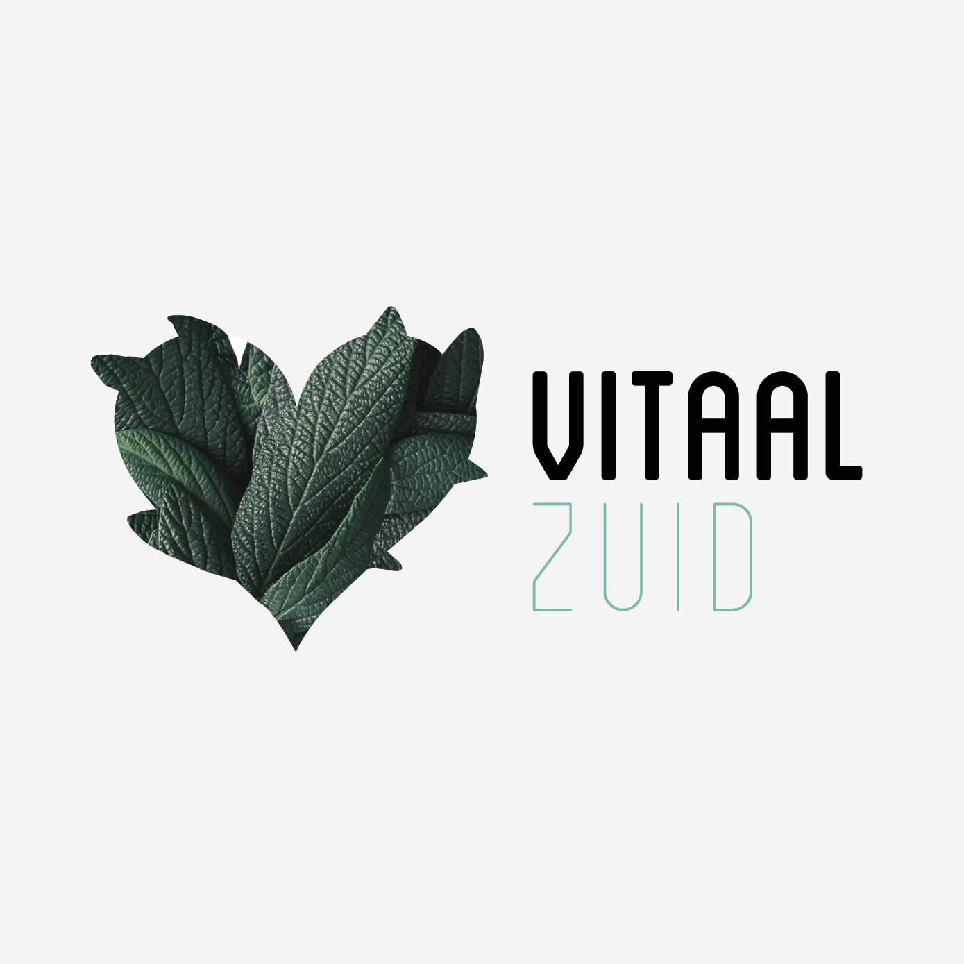 Logodesign Vitaal Zuid