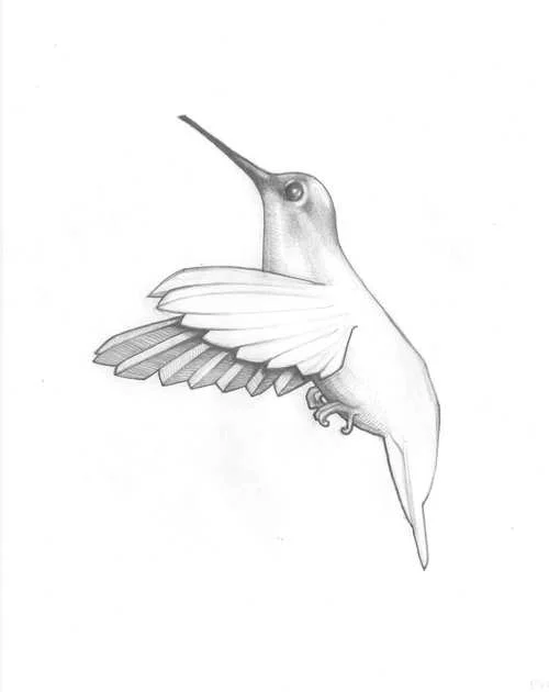drawing-3.jpg