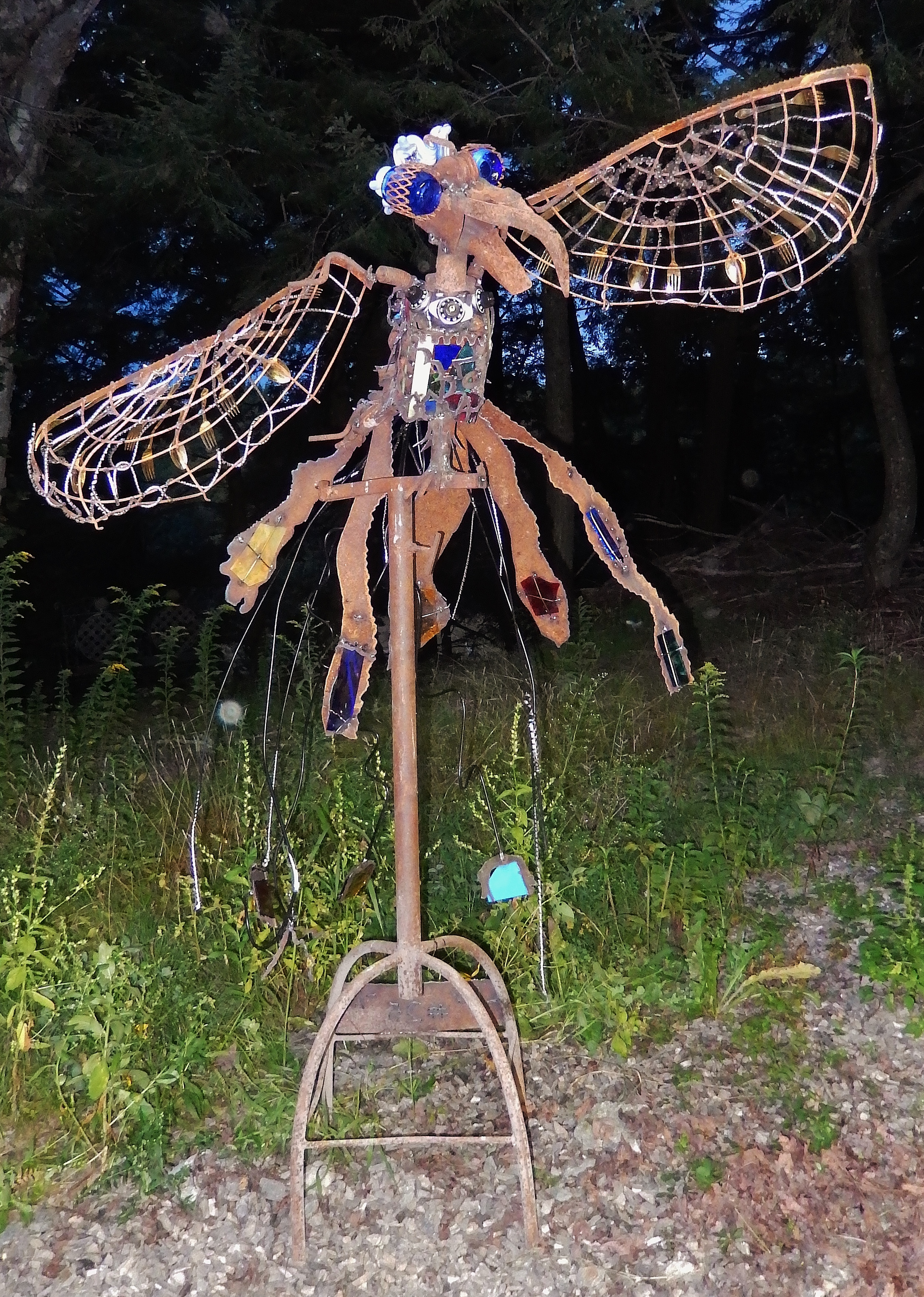 DSCN7462.JPG