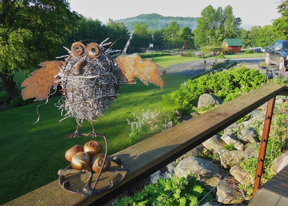 JUNE 2013:  Owl on Doorknob Nest