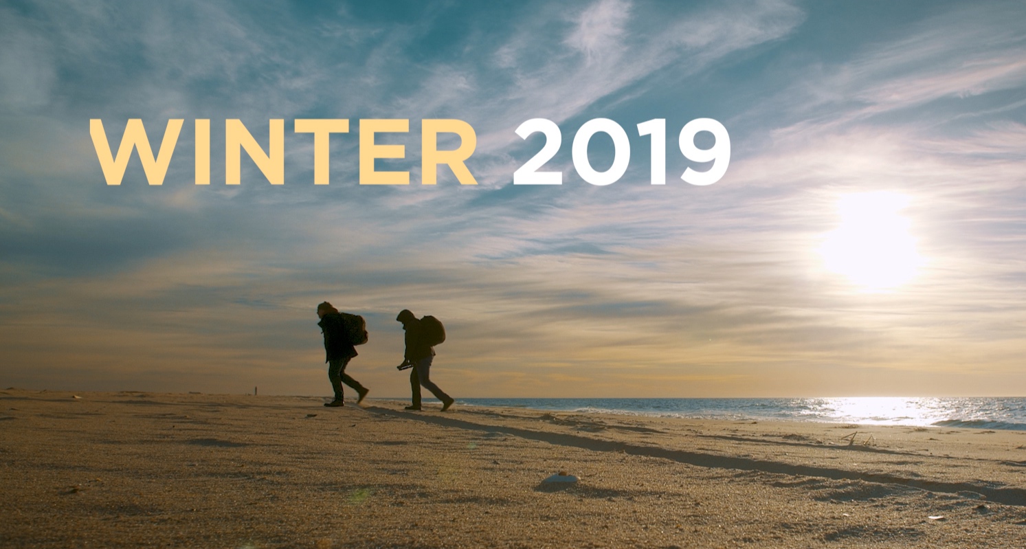 DP+Edit+-+Winter+2019+2.00_00_05_02.Still001.jpg