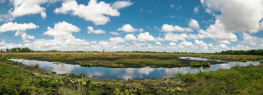 HP Bog Pano.jpg