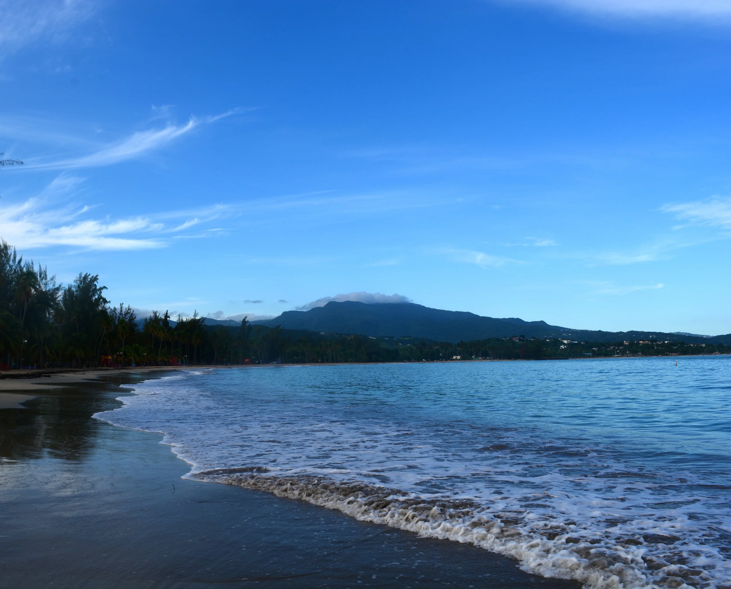 view of el yunque from beach.jpg