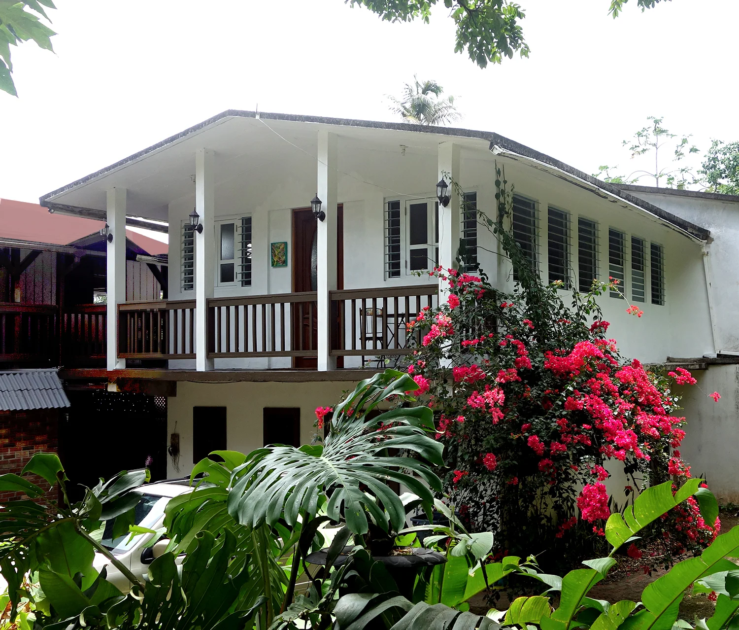 Junglebldg.jpg