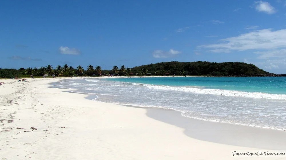 Day Trip to Vieques