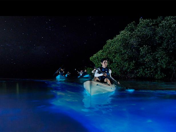 Take off on a starlit tour to the magnificent Bioluminescent Bay in Fajardo