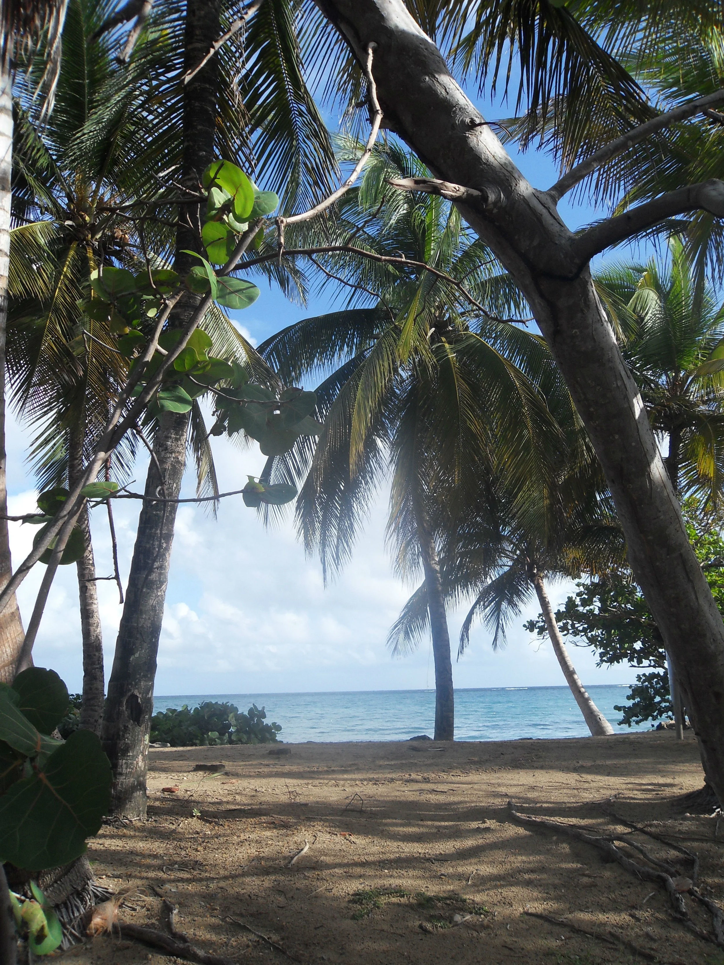 World-renowned Flamenco beach is just a short drive and a ferry ride away from your door, on the eye-catching island of Culebra.