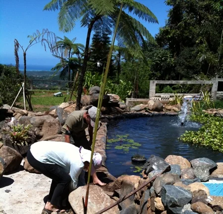 Adjusting the Pond Edge - Working Toward Zen-like Beauty