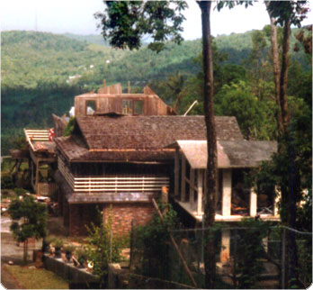 old_house.jpg