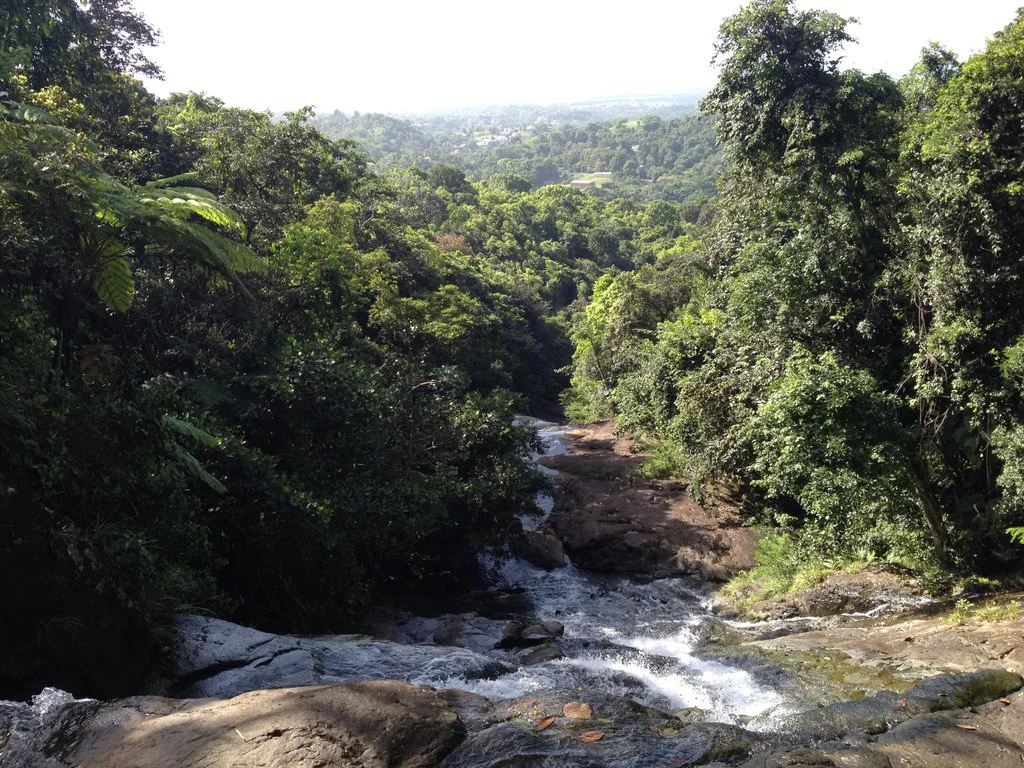 Revealing the Secrets of the Lost Machete Trail