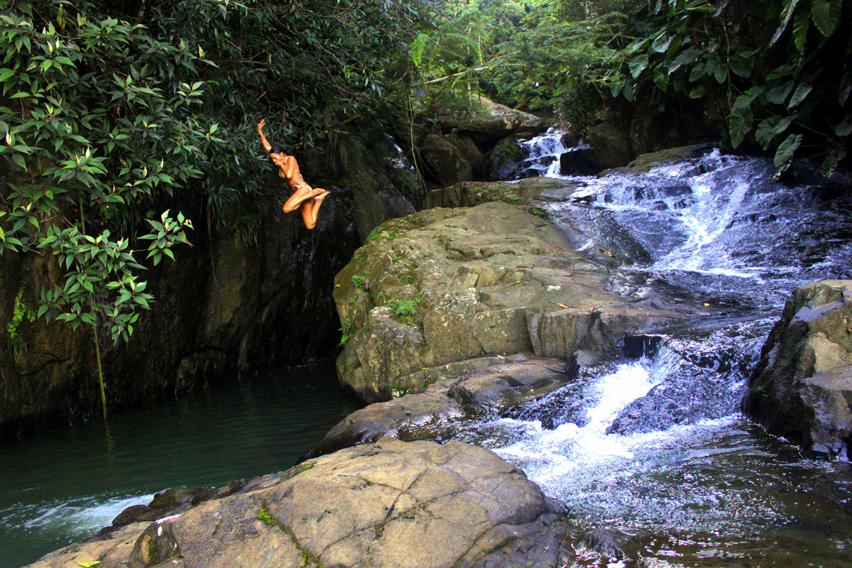 Rainforest Inn's private jungle pool.